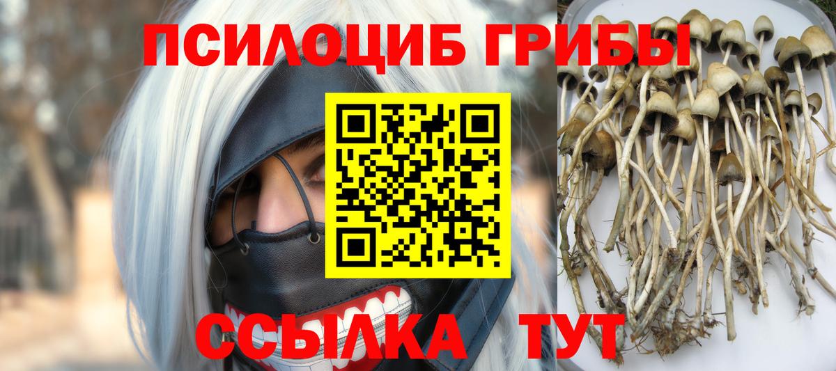 Галлюциногенные грибы Cubensis  Вход с VPN  Галлюциногенные грибы ЛСД  Отрадный 